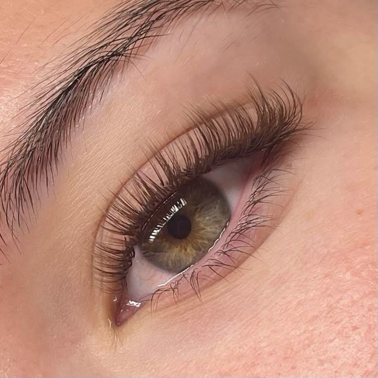 Brown Classic Lash Extensions