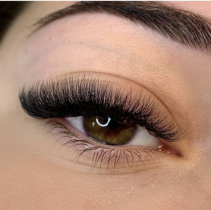 Cat Eye Volume Lashes