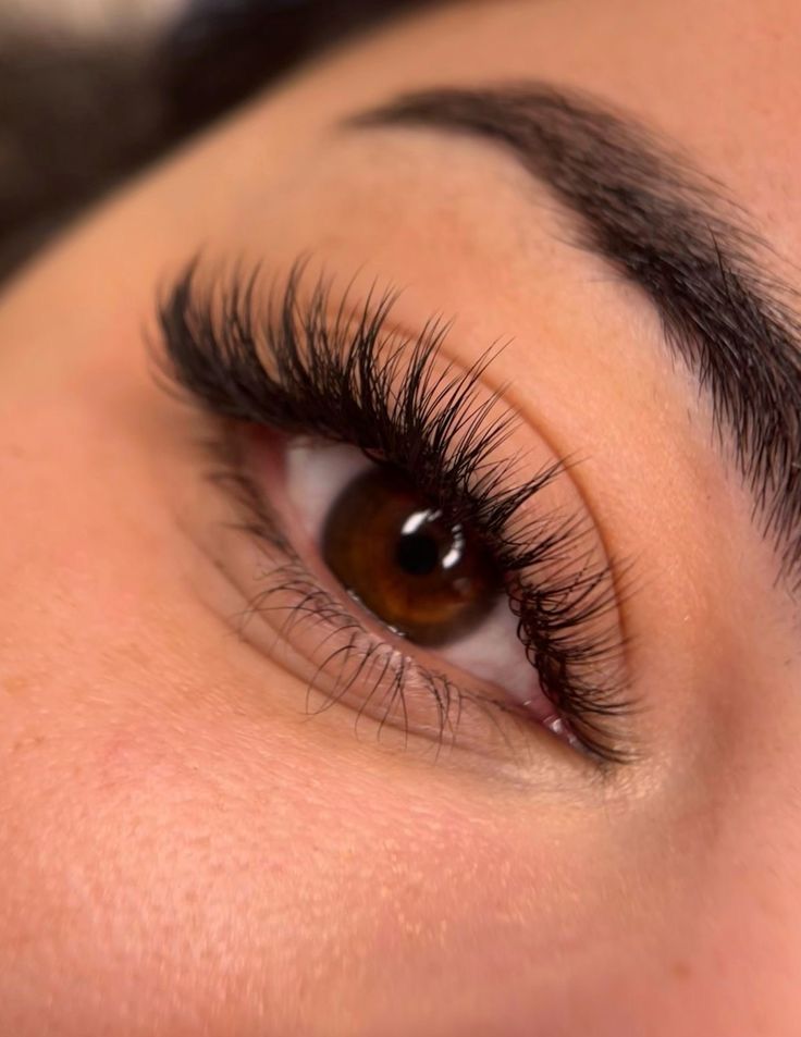 Fox Eye Hybrid Lashes