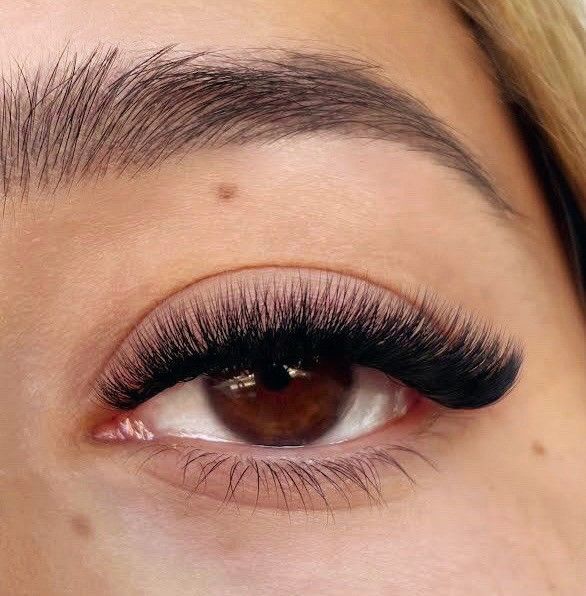 Full Rounded Volume Lashes
