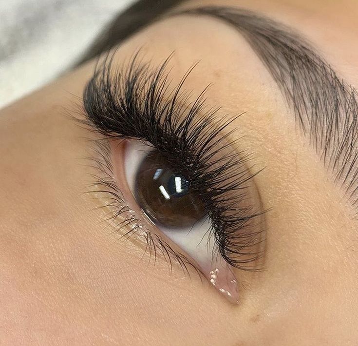 Kim K Volume Lashes