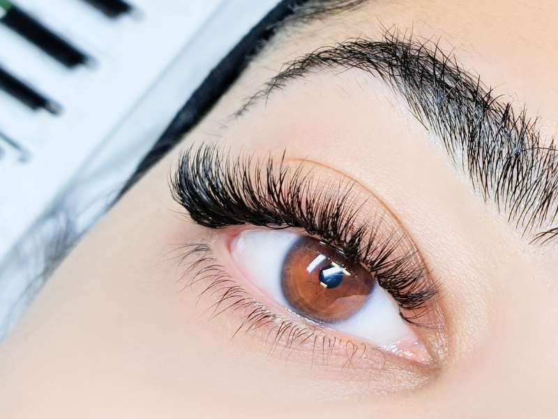 Light Volume Lashes
