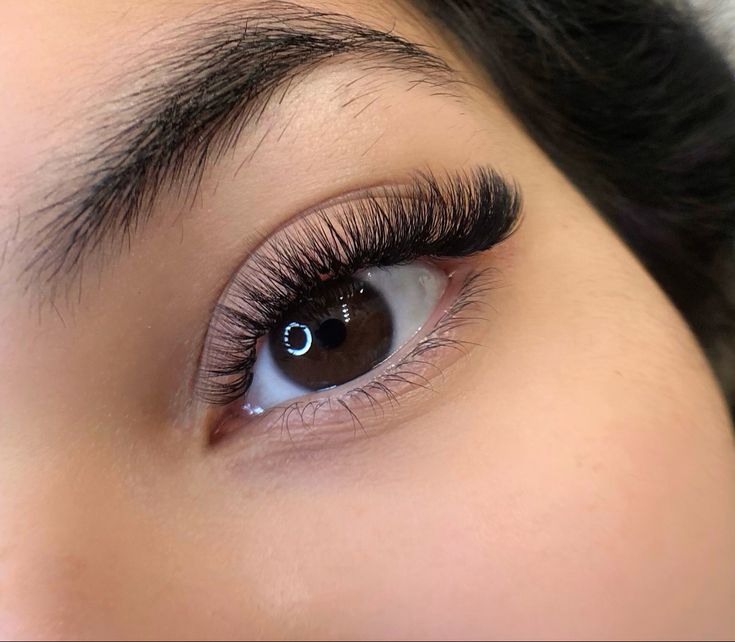 Lightweight Everyday Volume Lashes