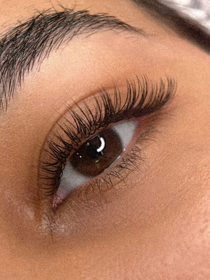 Medium-Length Classic Lashes