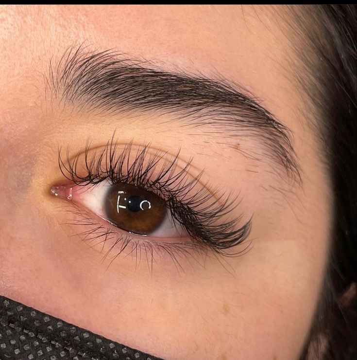 Natural Wispy Everyday Lashes