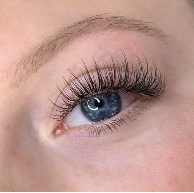 Open Eye Classic Lashes