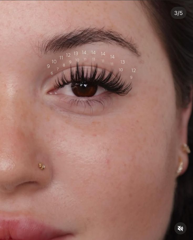 Rounded Lash Map