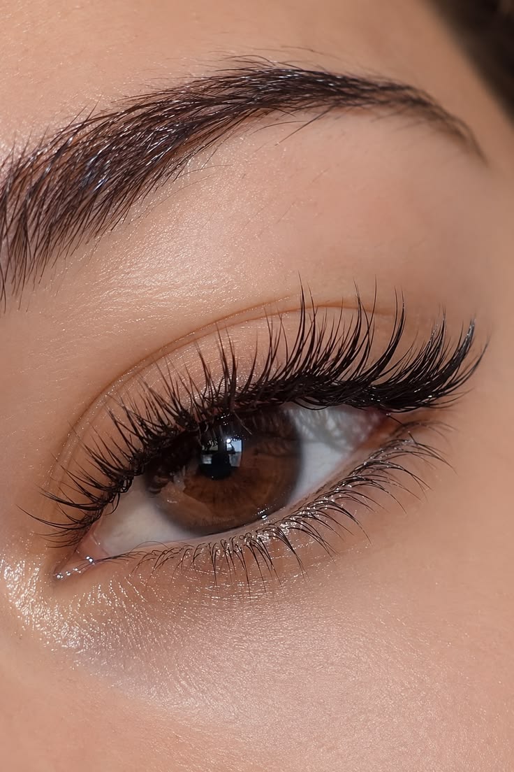 Classic Lashes