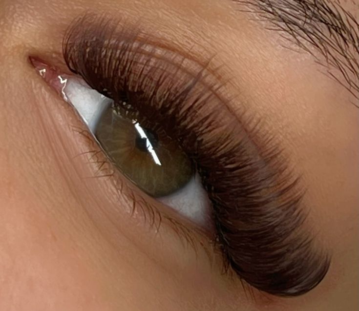 Soft Brown Volume Lashes