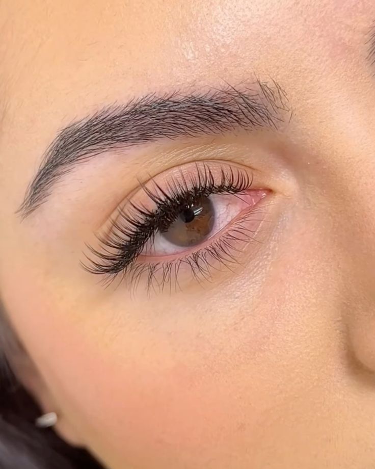 Soft Everyday Classic Lashes