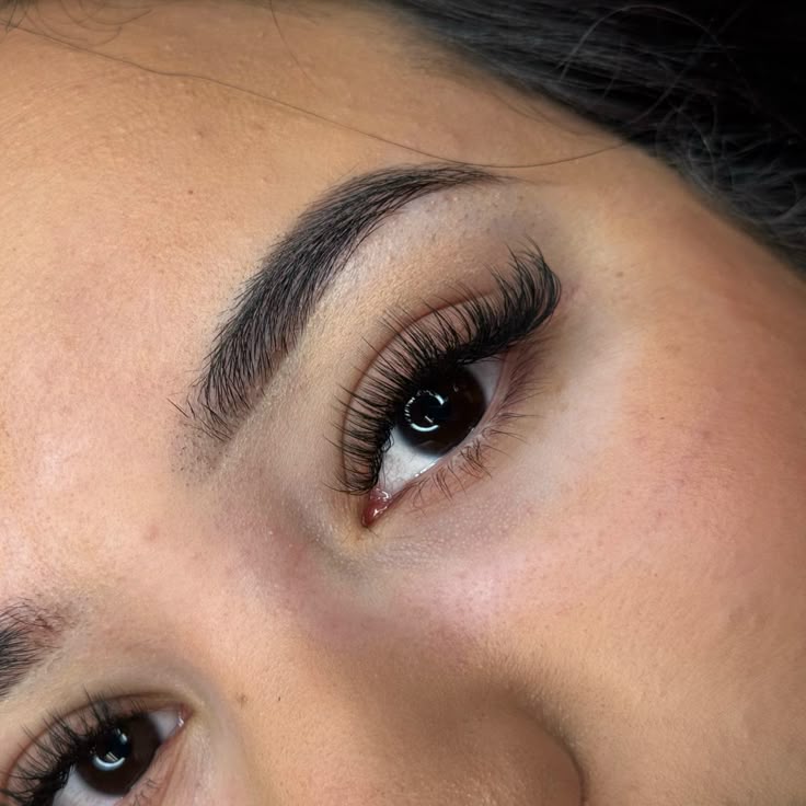 Wispy Hybrid Lashes