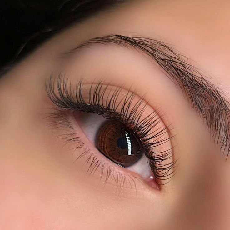 Classic Lashes