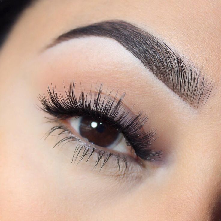 Doll Lashes 