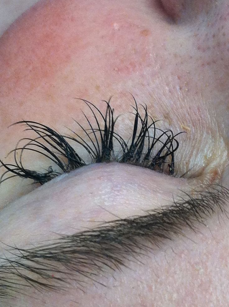 Lashes