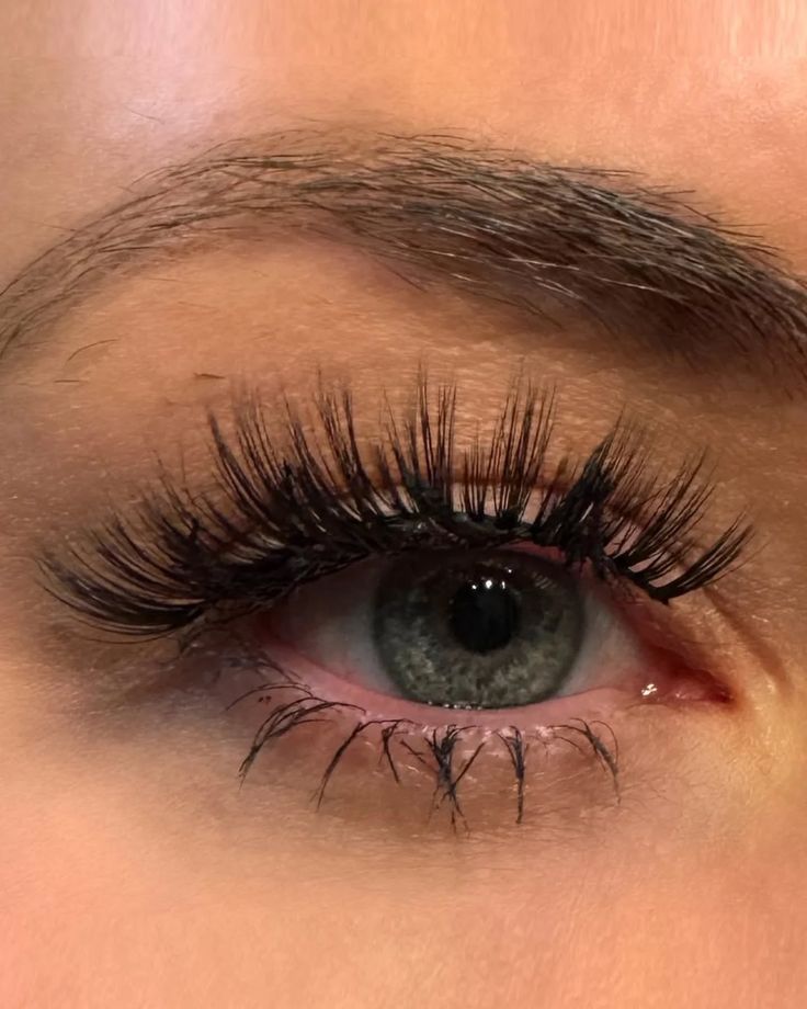 Reusable Everyday Strip Lashes