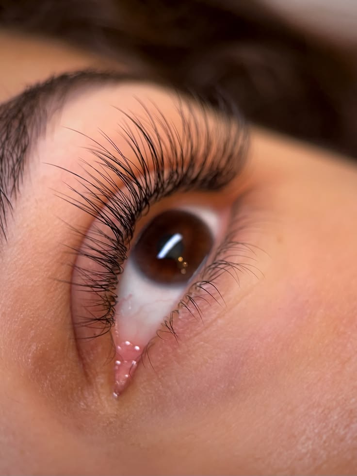 Silk Lashes