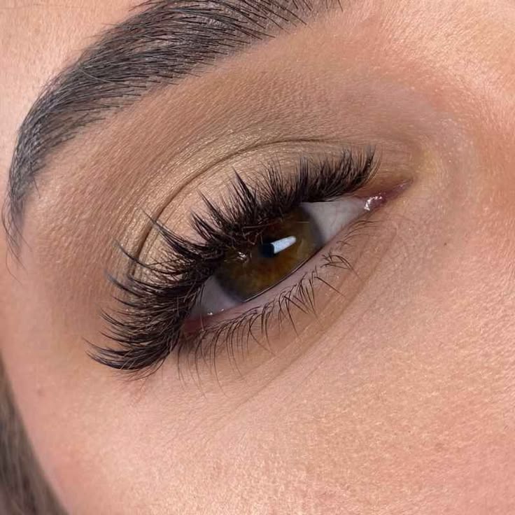 Soft Glam Wispy Lashes