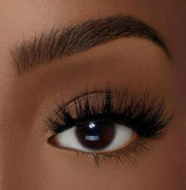 Statement Strip Lashes