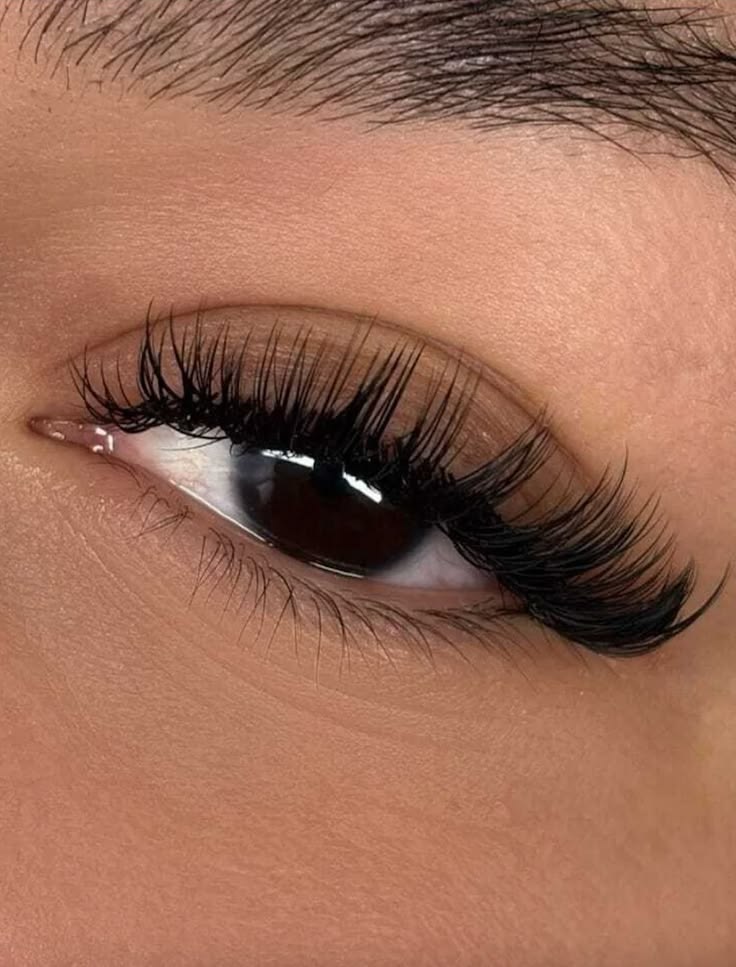 Strip Lashes