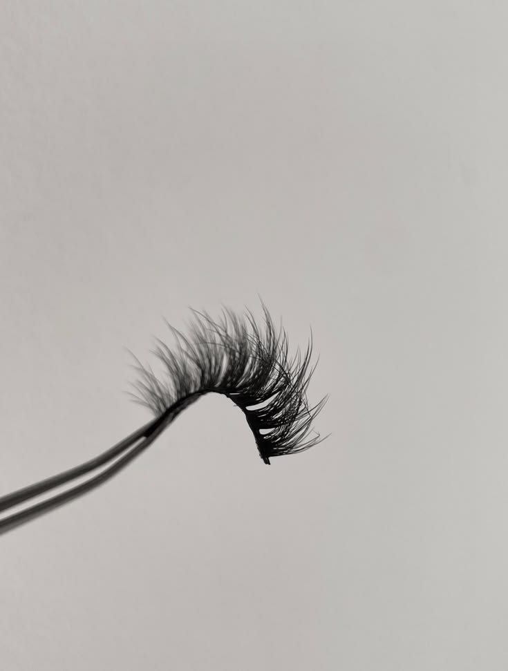 Strip Lashes