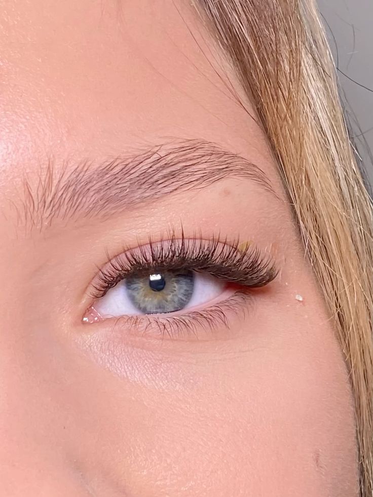 Light Brown Wispy Lashes