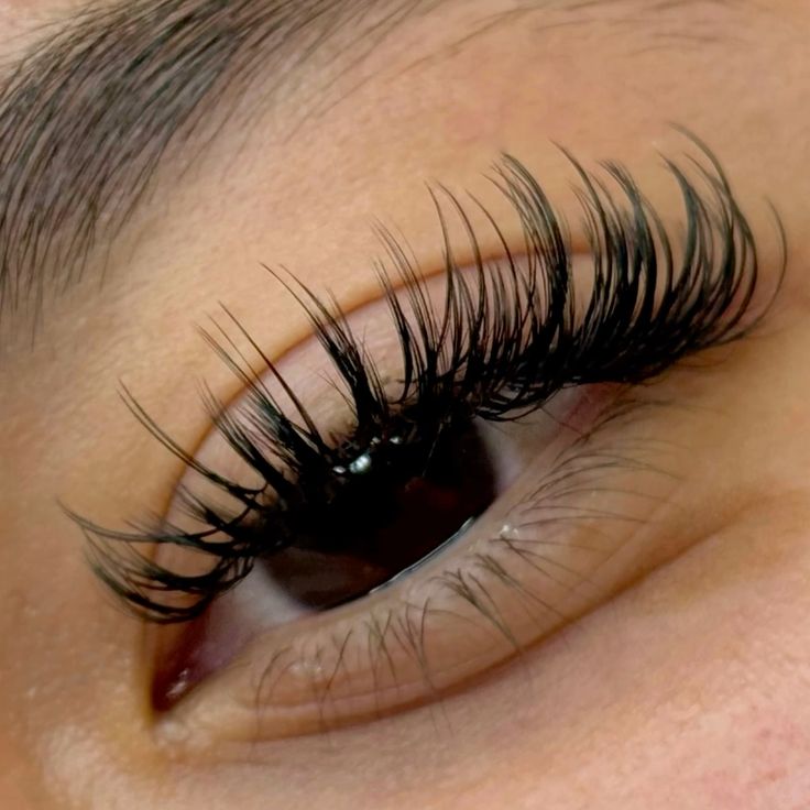 Wet Look Lash Extensions