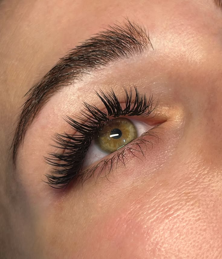 Wispy Lashes With a C Curl