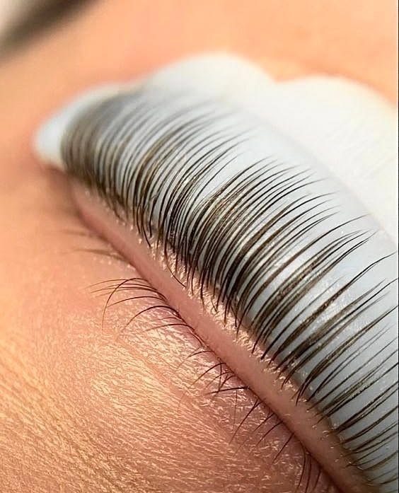 Can Your Lash Growth Cycle Affect Tint Longevity