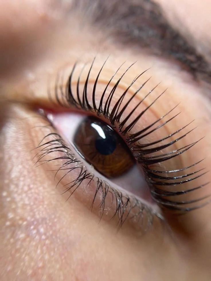 How Often Should You Get a Lash Tint