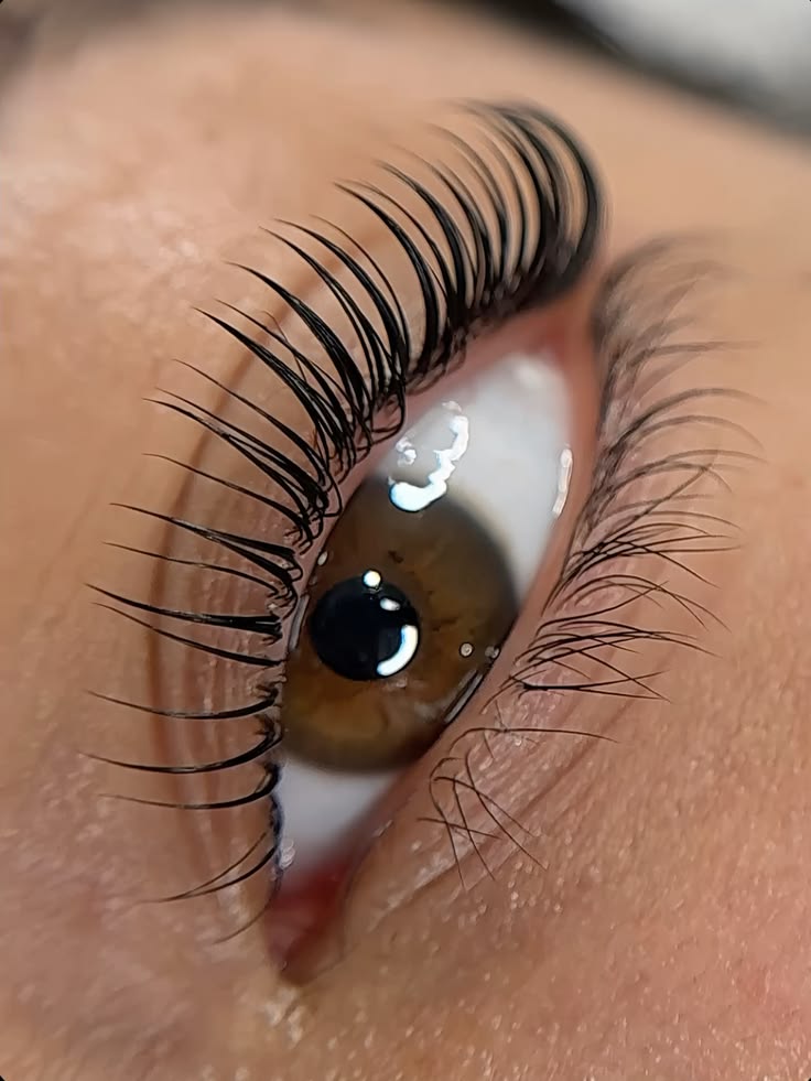 Lash Lift