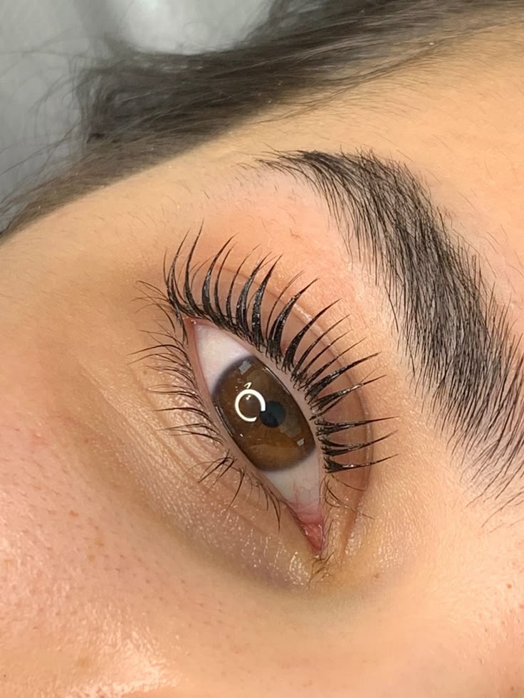 Lash Tint vs Mascara for Maintenance