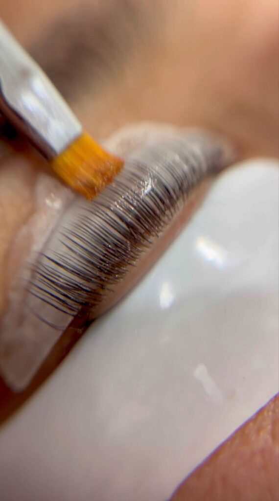 Lash Tinting vs Lash Extensions