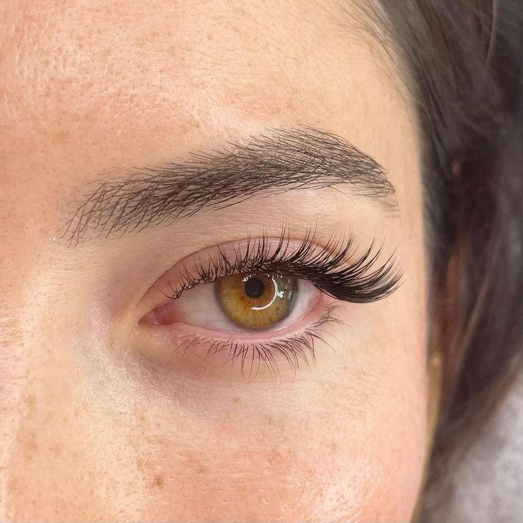Soft Cat-Eye Classic Lashes
