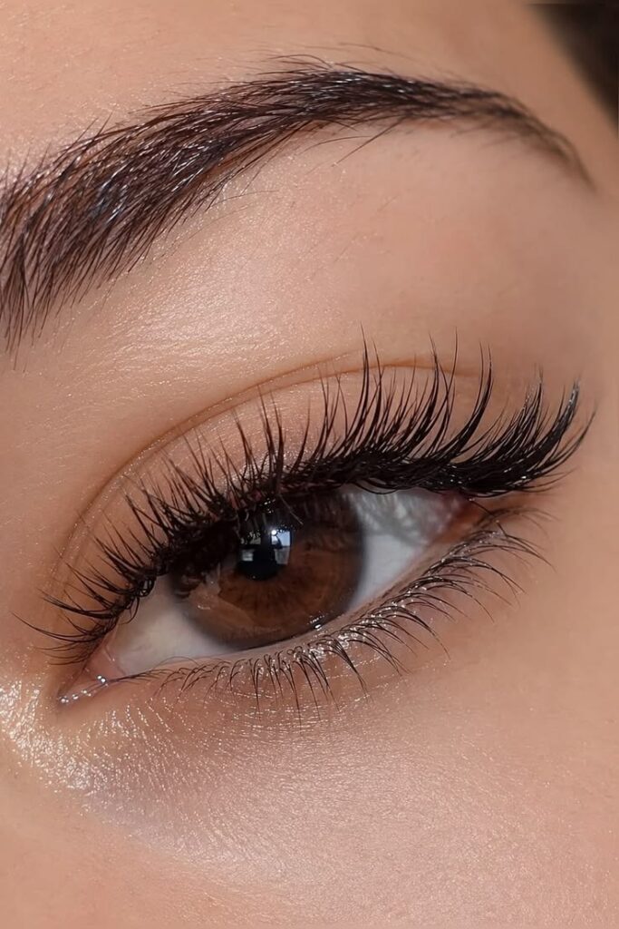 Soft Squirrel Lashes
